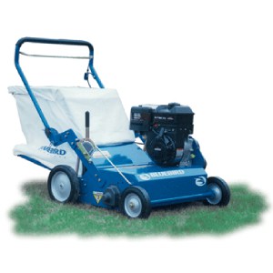 Power Rake – Bagging Flail Type 5 HP Gas Powered